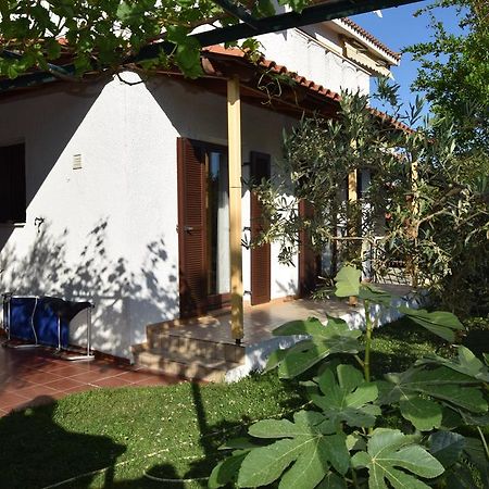 Beautiful Home By The Sea PalaiónTsiflíkion 外观 照片